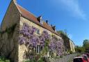 A wisteria-clad house in Wellow
PHOTO BY Emma Rose