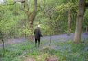 Peel Bank Trust founder Gordon Swindells walking through woodland.