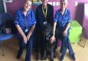 John and Otis with team members at the Furness General children's ward