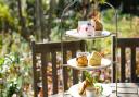 Afternoon tea deals and offers in Essex