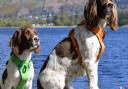 Max and Paddy at Derwent Water