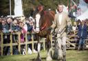 Martin leads one of his Clydesdales in the main ring at Buckham Fair