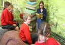 the woodland library at Lydeard St Lawrence Primary School