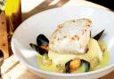 Hake and creamed potatoes with curried mussel sauce