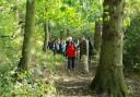John Haddon leads the first Lancashire Life walk through Boilton Wood at Brockholes Nature Reserve