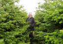 Lynn Riley of Frodsham Christmas Trees
