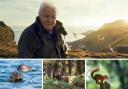 You can visit the locations used for filming BBC's Wild Isles presented by Sir David Attenborough.