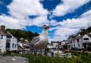 Polperro has been named the coolest place to live in the UK