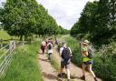 Striding out in the Suffolk Walking Festival. Photo: Suffolk Walking Festival