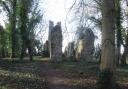The ruined church at Saxlingham Thorpe gets almost completely hidden when the trees are in leaf Photo: Peter James