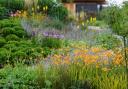 (Credit; Jason Ingram) An abundance of textures, layers, blooms and grasses encourages biodiversity in this gorgeous Marian Boswall garden