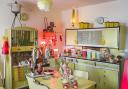 The bright and cheerful kitchen houses a carefully collated collection of objects. Photo: Steven Haywood