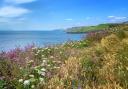 Summer on the South West Coast Path by James LaBouchardiere, the winning entry of our 2020 photography competition held with Dorset AONB