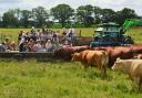 Open Farm Sunday will welcome thousands of visitors to events across East Anglia on June 7