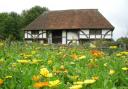 Marigolds feature through summer at the museum Photo: Weald Downland (c) Leigh Clapp