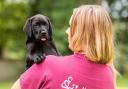 It costs £40,000 to fully train and support a hearing dog for the duration of its life, and the charity relies entirely on the support of donations hearingdogs.org.uk