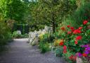A Mediterranean garden at RHS Garden Rosemoor