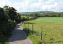 The view back along the South Downs Way on route to Old Winchester Hill (C) Fiona Barltrop
