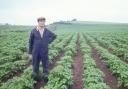 Wesley Wyatt with 100 acres of potatoes. Photo: Wesley Wyatt