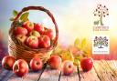 Celebrate Chipping Campden's first Apple Fest on October 21, 2023