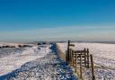 A snowy view on Ditchling Beacon in the South Downs. (c) Getty