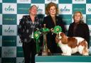Group Winner Toy Crufts 2023 The Kennel Club