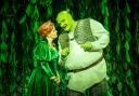Shrek and Princess Fiona at Shrek The Musical
