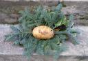 The back of a potato wreath