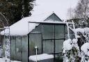 Brush snow from greenhouses, cloches and cold frames to avoid damage to them. Photo: Ade Sellars