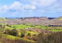Expansive views from the top of the orchard towards Castle Drogo, imposing above the Teign Valley