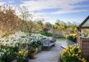 Spring in RHS Garden Harlow Carr where events are planned, including Easter egg hunts.