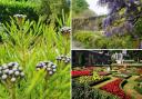 Cornwall has a few decent options for National Trust gardens dotted around the county