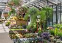 What do you think makes a good garden centre? Here are some of the best across West Yorkshire