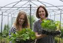 Lucy Hutchings and Kate Cotterill, launched She Grows Veg. Photo: She Grows Veg