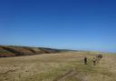 Heading north on the Cheriton Ridge, Exmoor