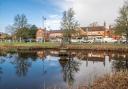 DPS MAIN Hartley Wintney's picturesque duck pond IMAGE Mackenzie Smith