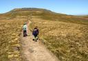 Children walking along path with summit in the distance.