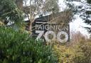 Paignton Zoo