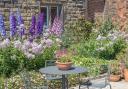 A small cottage garden with flowering plants in summer.
