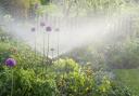 Watering in the flower garden - gardeners in the flowerbed.