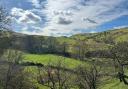 Fox Hill has extraordinary potential for wildlife.