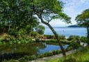 Trebah Garden in Cornwall is offering reduced entry prices this summer