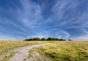 Badbury Rings Iron age fort.