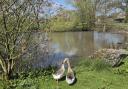 The Mere at Earl Sterndale