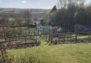 Robin's greenhouse in its picture-perfect new spot