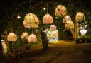 Luminescence is returning to Swinton Park Estate in October
