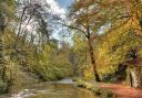 Few places are better for an autumnal walk than Beresford Dale