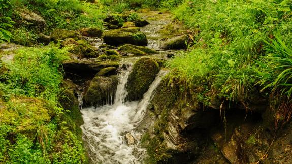 Great British Life: A WATERFALL AT ROCKY VALLEY Great British Life: A WATERFALL AT ROCKY VALLEY