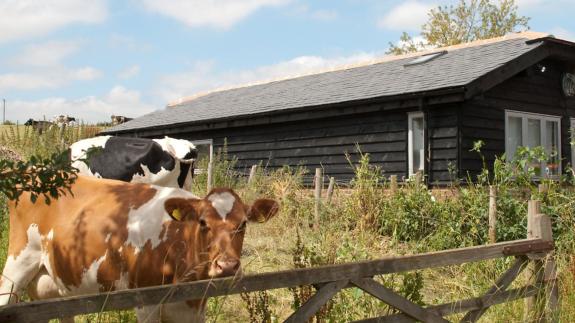 Great British Life: Bull Farm Studios – boutique self-contained accommodation beside a working dairy farm credit Sue Tinkler Art Glass Great British Life: Bull Farm Studios – boutique self-contained accommodation beside a working dairy farm credit Sue Tinkler Art Glass