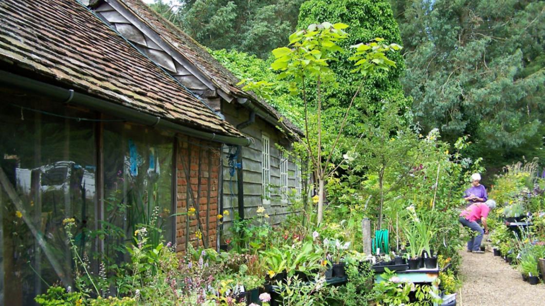 7 inspiring plant nurseries in Hertfordshire to make your garden dreams come true